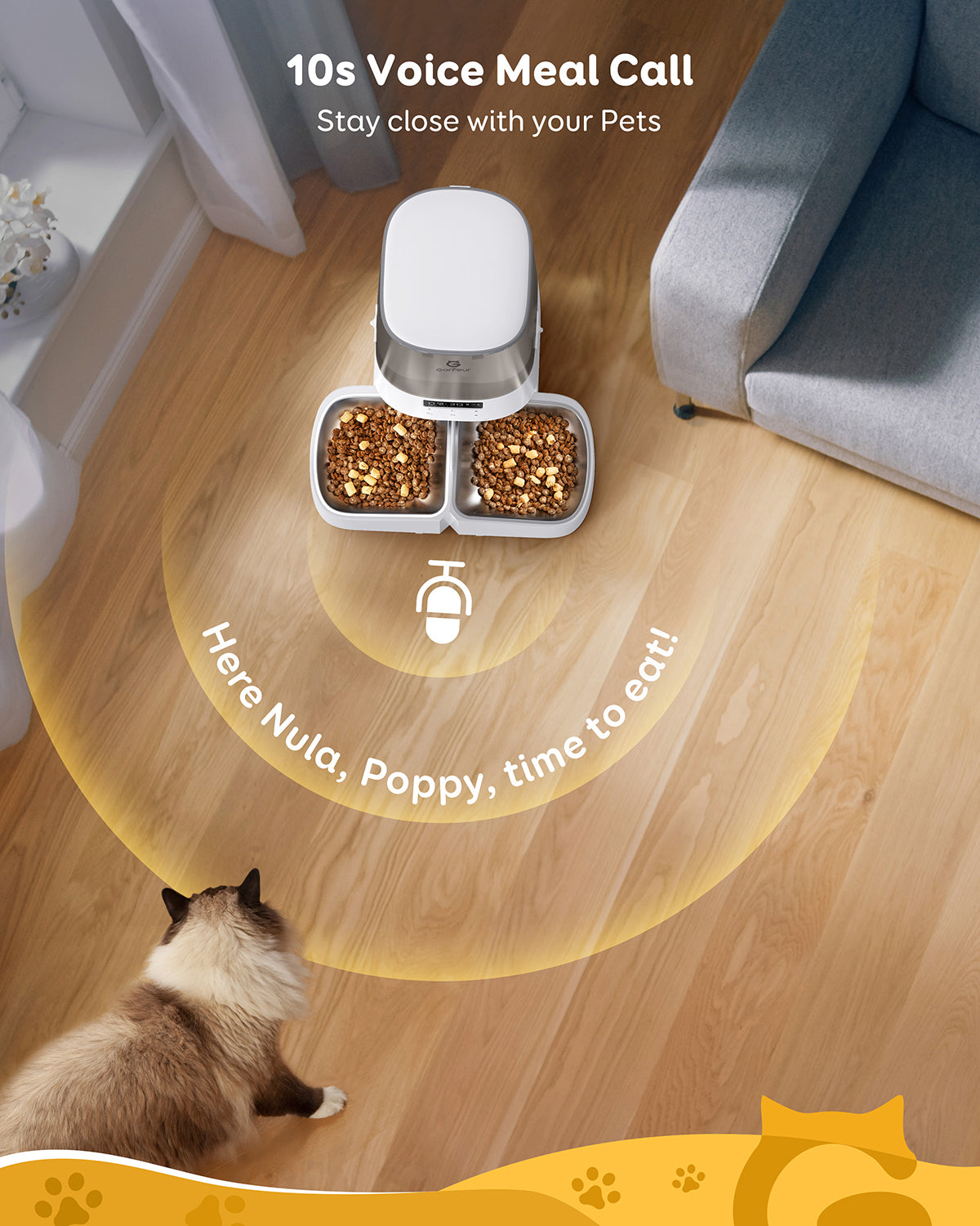 Automatic Pet Feeders with Dual Bowls